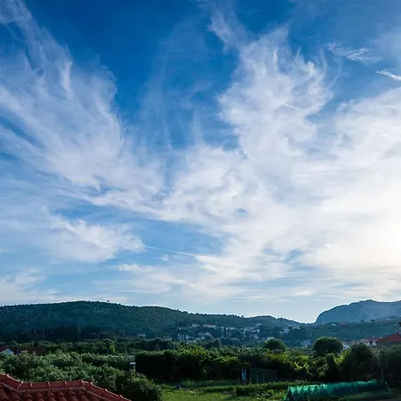 דירה Olive Family House *