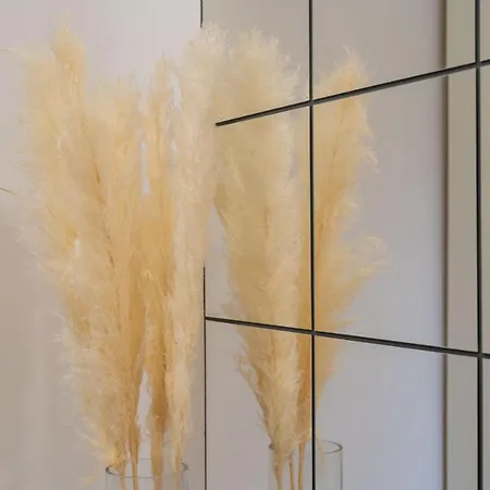 דירה Olive Family House