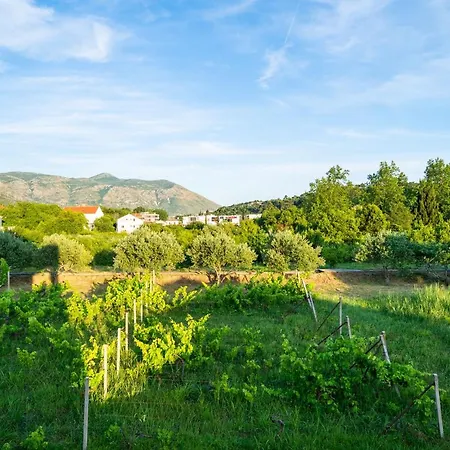 דירה Olive Family House